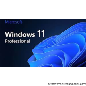 Windows 11 Professional